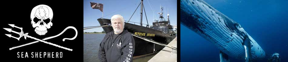 Documentaire Eco-Pirate: The Story of Paul Watson