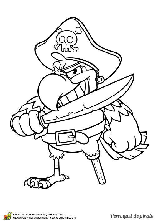 Un pirate et son perroquet à colorier - Coloriages de pirates à imprimer