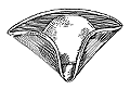 Le Tricorne