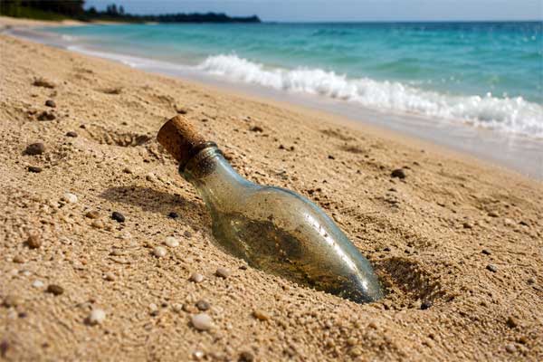 La Buse et les probables bouteilles dans le sable de la Roseraie dans l'�le de la R�union